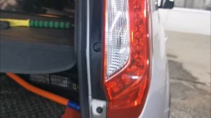 petal_20260118_103901.mp4