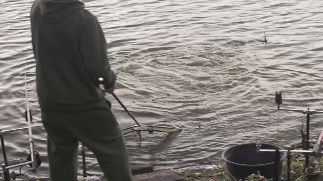 Амур выбирал силикон смотреть онлайн