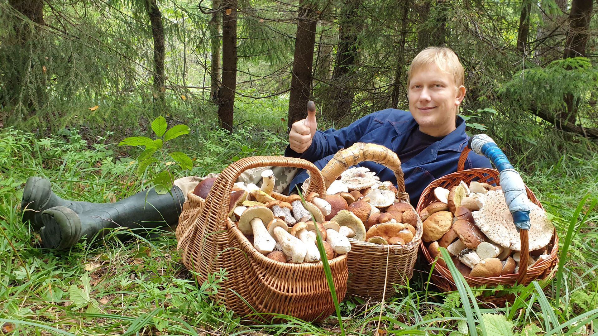 БЕЛАЯ КОСИЛЬНЯ ! БЕЛЫЕ ГРИБЫ ПОВСЮДУ ! смотреть онлайн