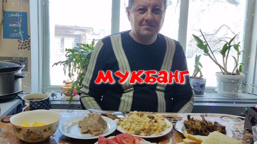 МУКБАНГ/ПЛОВ/ХОЛОДЕЦ/БОЛТАЛКА /жизнь в деревне