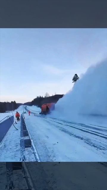 IMG_1981 смотреть онлайн