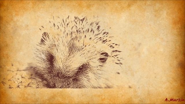 Alexander Karshkov - Autumn (2011) смотреть онлайн