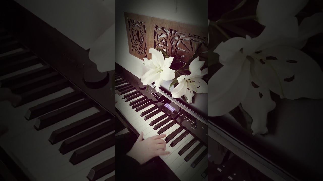 Grande Valse Brillante Opus 34 Nr. 2 (Extrait) - Frédéric Chopin #valentinesday #piano #chopin