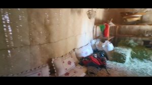 Дубай 5 января 2026 Самостоятельная поездка из Дубая в Абу-Даби. Деревня наследия и Qasr Al Watan