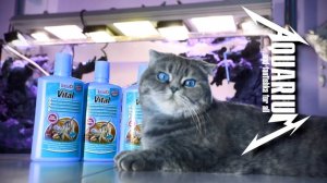 Аквариумные вкусняшки и витаминчики для любимых рыбсиков