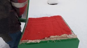 Система умный дом в улье. Осмотр наблюдательного улья.