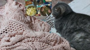 Готовим еду и вяжем, а чем еще заниматься. Комментарии. 18.01.26