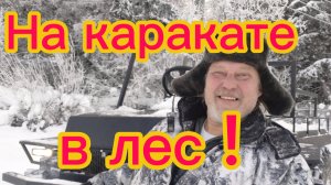 Покатушки  по зимнему лесу! 18-01-2026