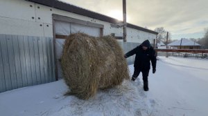 Вот так попали! Все пошло не так с самого начала! Подготовка к празднику.
