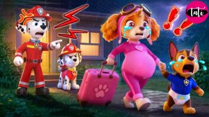 Щенячий патруль и Маршалл. Залипательное видео. Мультфильм для детей и малышей. Анимация 82