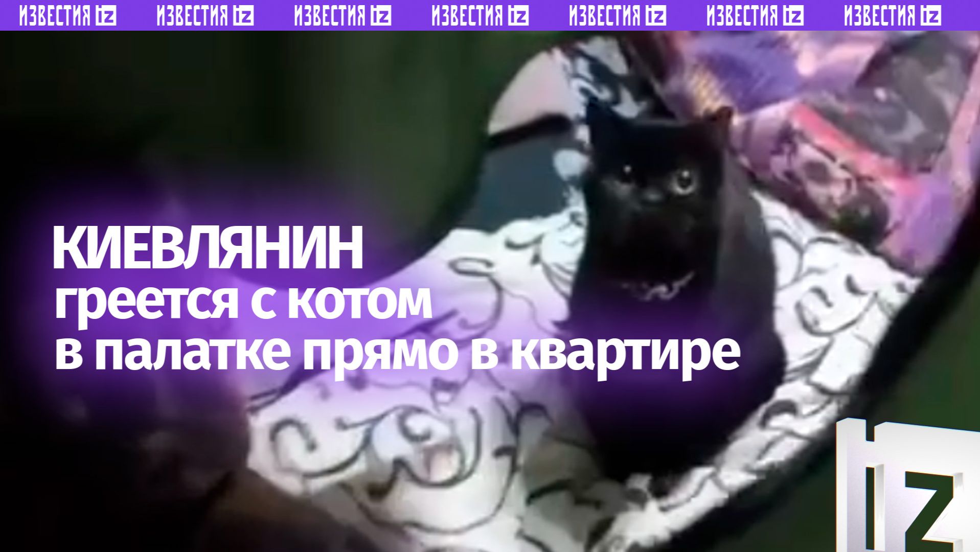 «А шо делать?»: замерзающий житель Киева поставил палатку на кровати для себя и кота смотреть онлайн