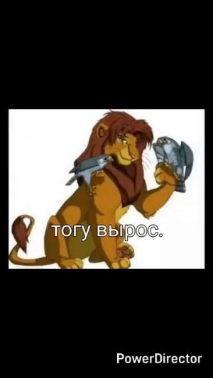 История моего персонажа из короля льва тогу .
