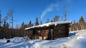 ПРОВЕРИЛ ПУТИК. ЗАНОЧЕВАЛ В ТАЁЖНОМ ЗИМОВЬЕ. ДОБЫЛ БЕЛКУ. #идилесом 29.01.24