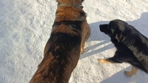 Херсонщина 18 января 2026 года