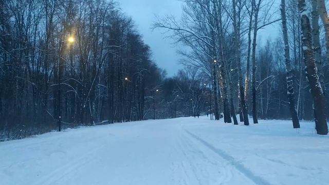 лесо парк (вечер)