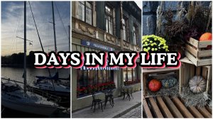 ВЛОГ: Поездка в Выборг | время с семьёй