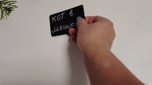 Вышивльная игра Кот в мешке часть 1