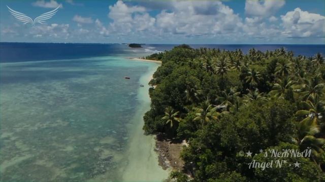 DNDM, Julia Milows - I Don't Love You - автор ролика s’NеЖNыЙ Angel N. смотреть онлайн