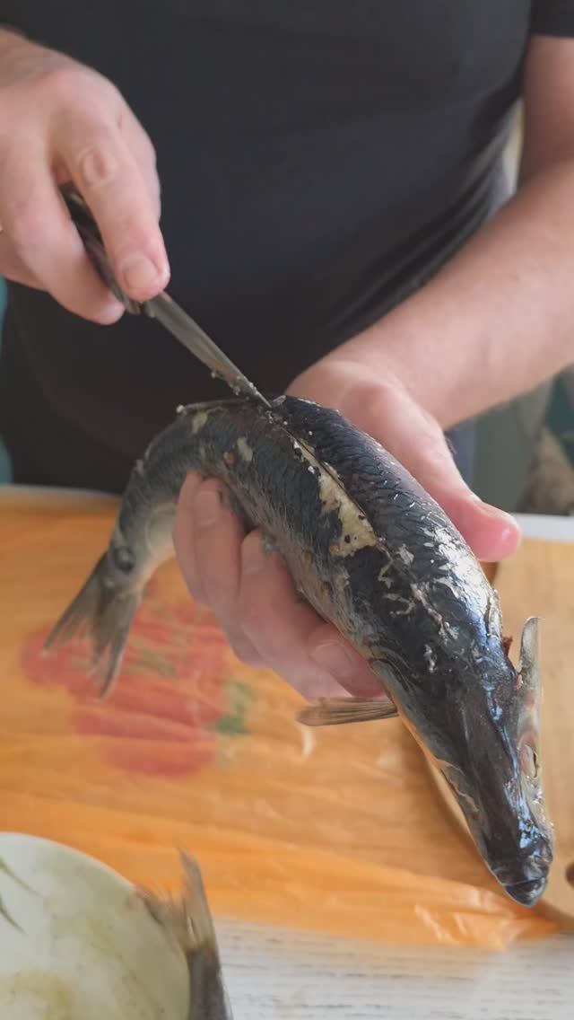 что не так с селедкой? #ташамуляр #сельдь смотреть онлайн