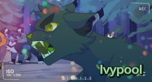 Остролистая🍃🍒