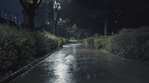 Дождь в ночном парке. Звук дождя для крепкого сна. Расслабление. Сон.