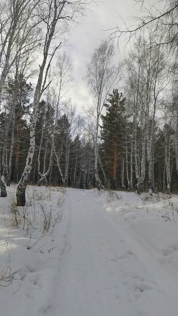 Сегодня 18.01.26 Международный день снега смотреть онлайн