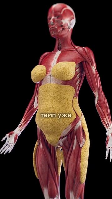 Почему вес не уходит сразу? смотреть онлайн