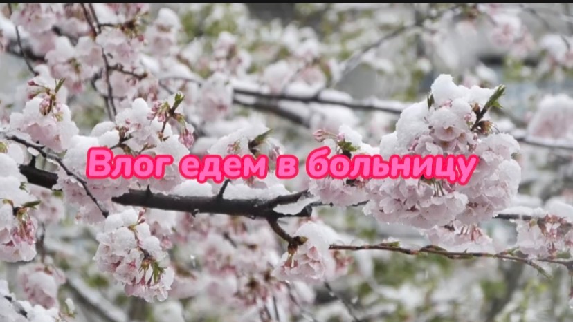 Влог едем в больницу