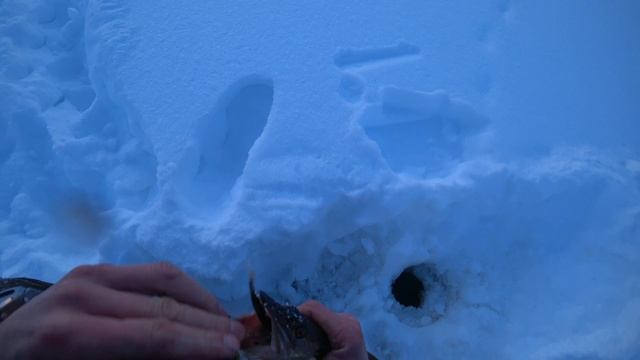 #IKUDZO HUNTER Очередная наша рыбалочка на трех хантерах! смотреть онлайн