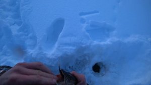 #IKUDZO HUNTER Очередная наша рыбалочка на трех хантерах!