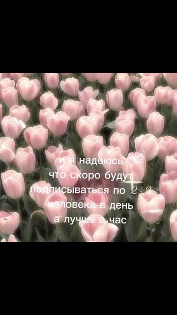 спасибо мои котятки я буду очень рада если это произойдёт смотреть онлайн