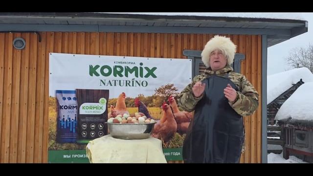 БЕЗ ЭТОГО ЯИЦ ОТ КУР ТЫ НЕ УВИДИШЬ! ДЕД ЧТП 16.01.2026 ГОД. смотреть онлайн