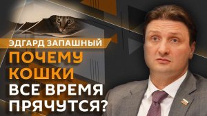 Эдгард Запашный и Нина Ватт. Животные в цирке, спасение кота, фламинго в Крыму, питомцы из приютов