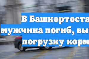В Башкортостане мужчина погиб, выполняя погрузку кормов