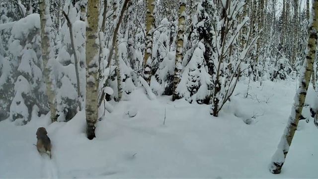 охота на зайца часть 1 смотреть онлайн