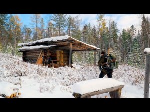 ОХОТА НА СОБОЛЯ ПРОДОЛЖАЕТСЯ. 6 ТАЁЖНЫХ ДНЕЙ. #идилесом 26.11.25