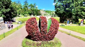 Дворцовый парк в Гатчине