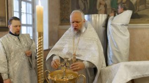 Великое освящение воды в Крещенский сочельник (фрагменты)