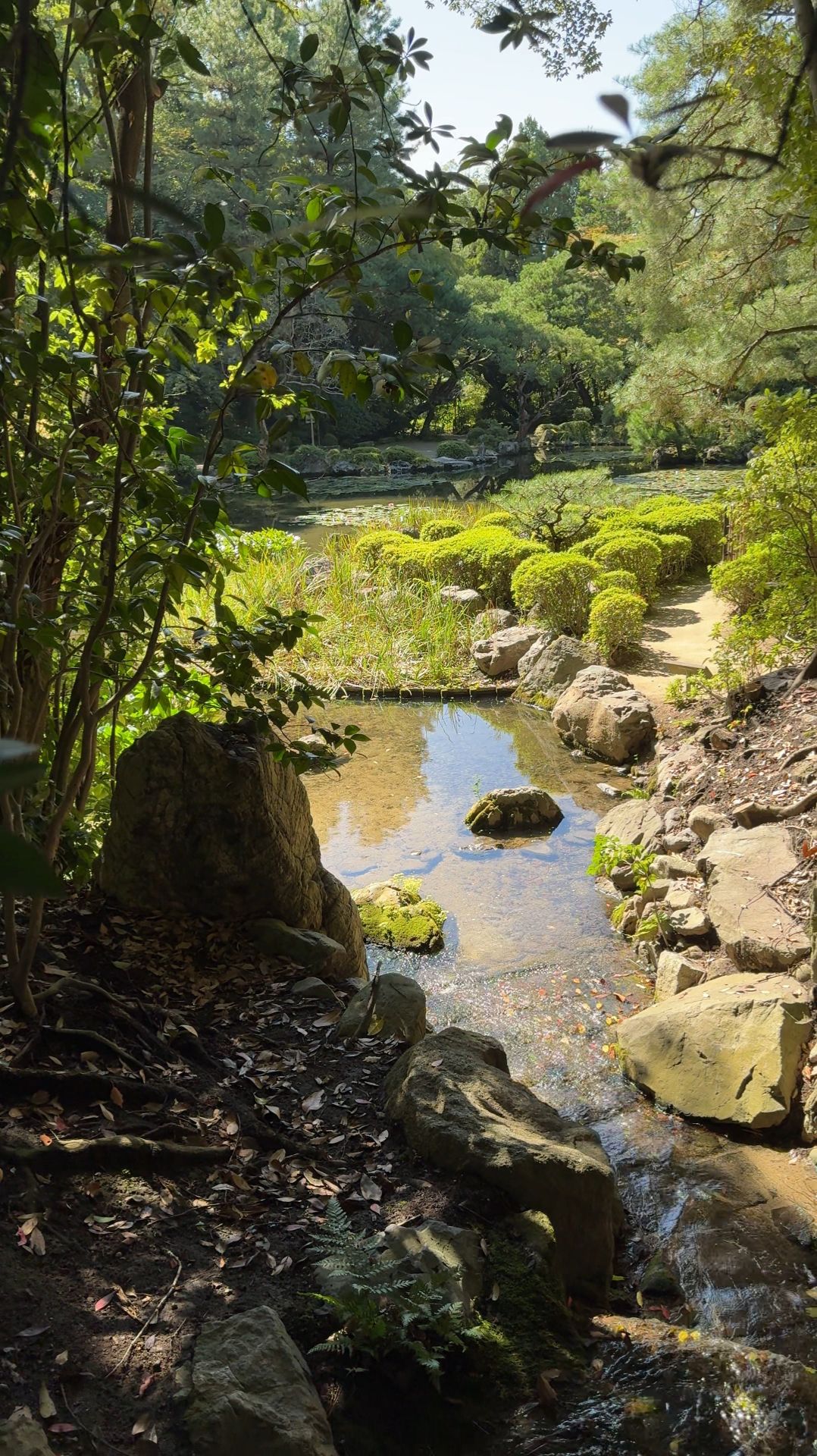 Отношение японцев ко всему. Цукияма (Холмистый сад) #не_о_работе #anton_mygt смотреть онлайн