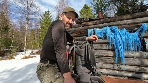 В ПОИСКАХ СЛЕДОВ МЕДВЕДЯ И ГЛУХАРИННОГО ТОКА. #идилесом 24.06.25