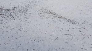 Покатались и поснимали|ПДБ|ПТАВА