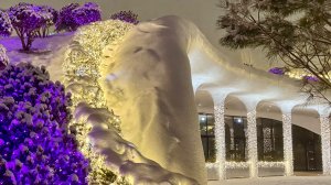 Кафе Сергея Галицкого «Amavi» в парке «Краснодар» (он же парк Галицкого)