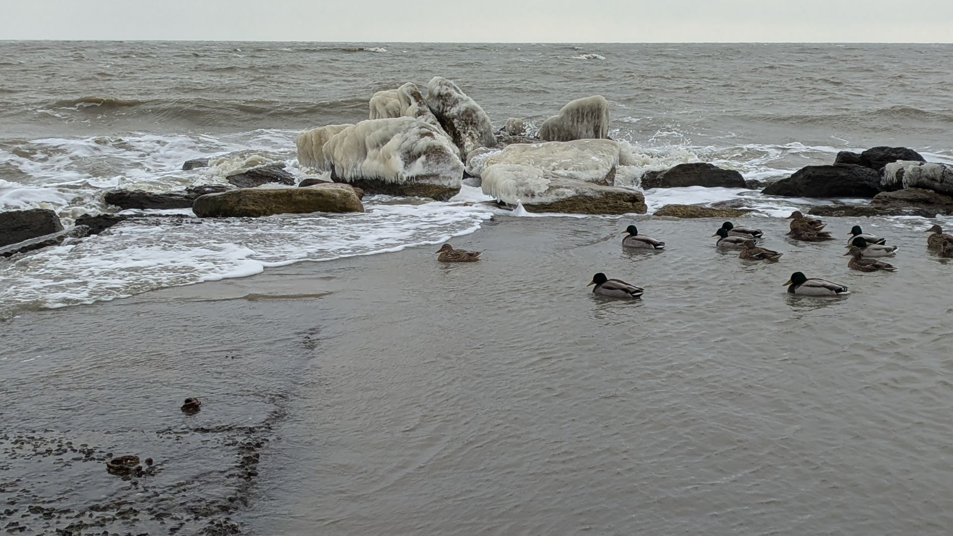 Ветер , волны, снег и пустой берег. смотреть онлайн
