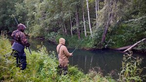 Пешком в самую глушь. Наловили в ручье. Таежная изба.