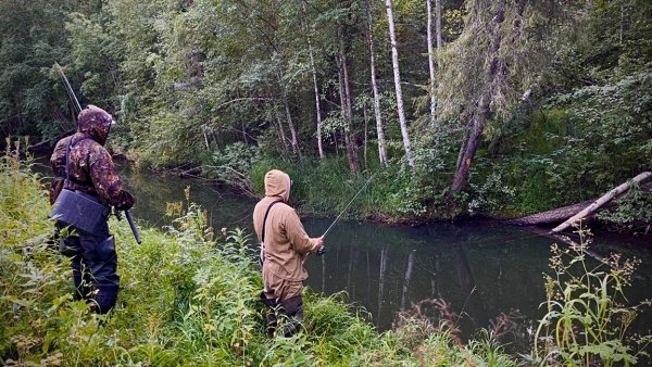 Пешком в самую глушь. Наловили в ручье. Таежная изба.