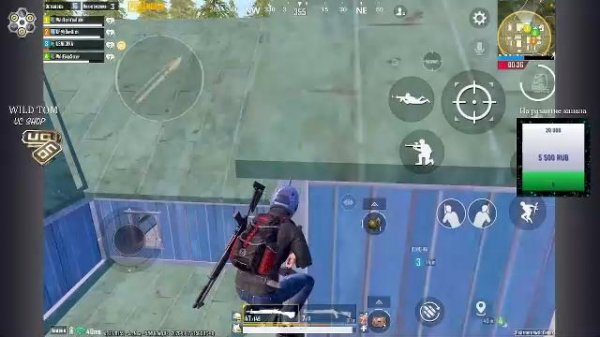 LIVE: WildTom_YouTube