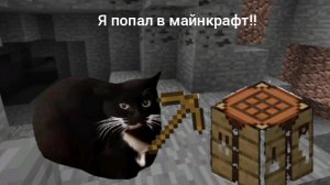 Пов: Я попал в майнкрафт (описание)
