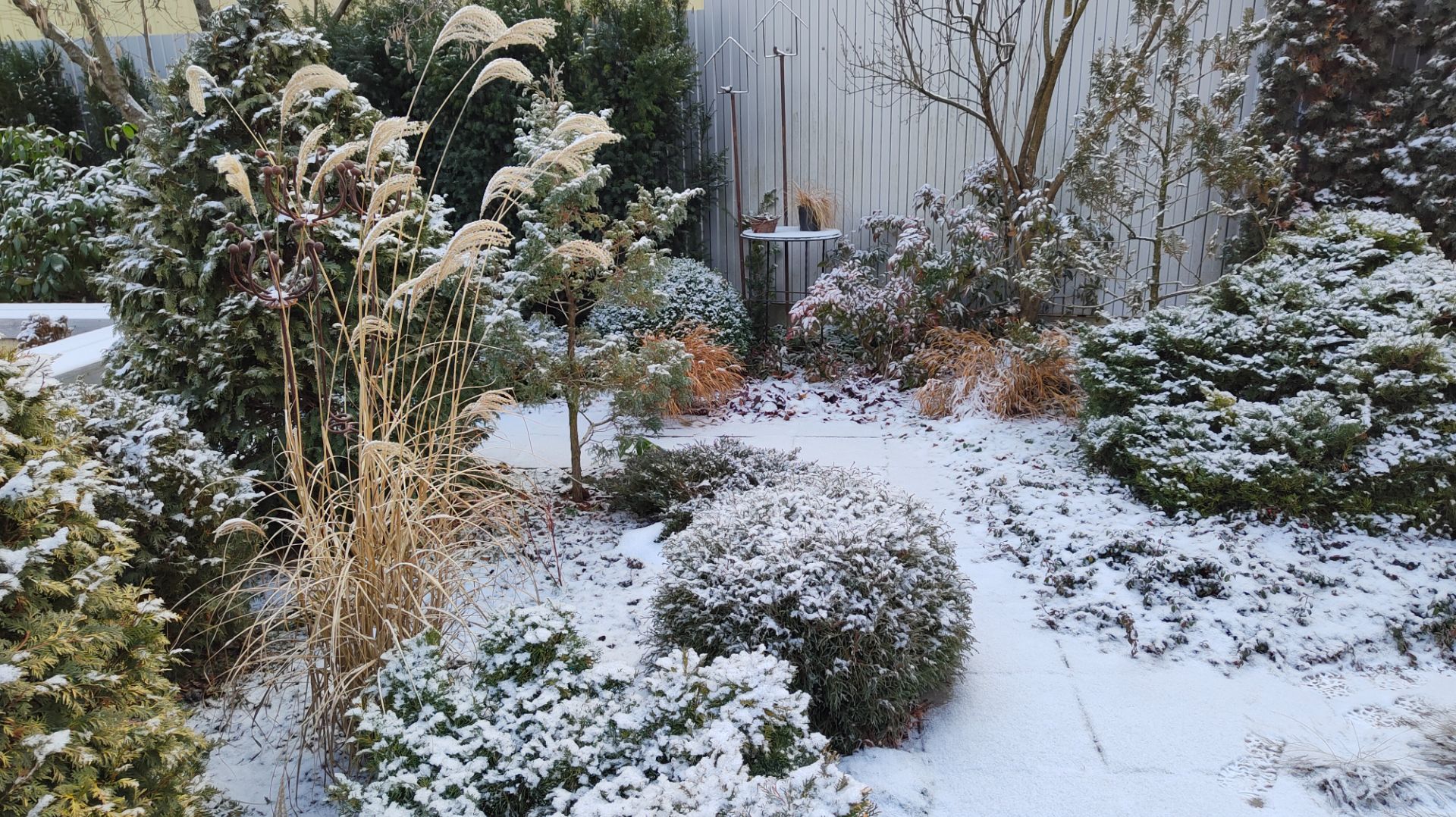 Про укрытия растений в моём южном саду 17.01.2026 г. Пятигорск, зона 6б. смотреть онлайн