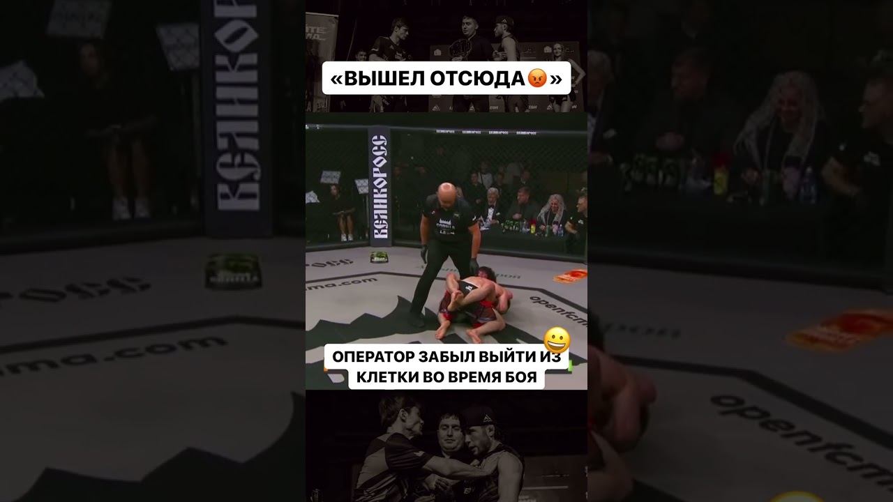 Оператор забыл выйти из клетки во время боя смотреть онлайн