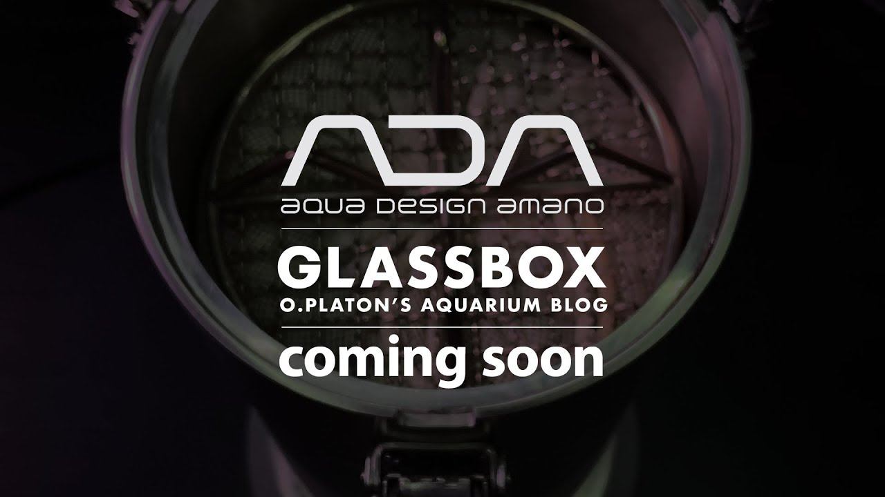 ADA Super Jet Filter ES-300 - дорвался. Установил, буду тестировать. смотреть онлайн